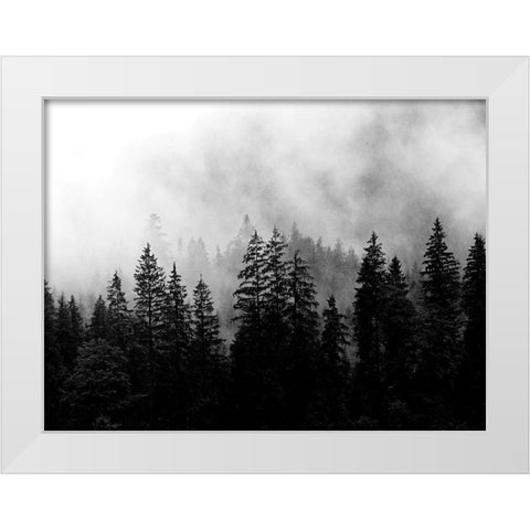 Foggy Morning White Modern Wood Framed Art Print by Allen, Kimberly
