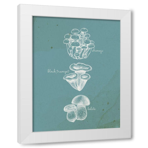 Mushroom Type 2 White Modern Wood Framed Art Print by Allen, Kimberly