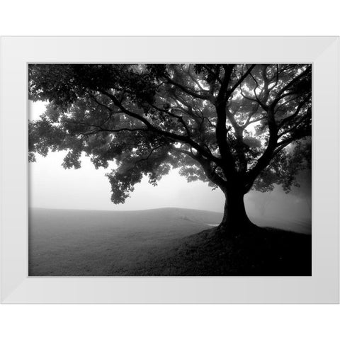 Early Morning Fog White Modern Wood Framed Art Print by Allen, Kimberly