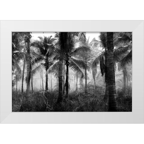 Palms Black And White White Modern Wood Framed Art Print by Allen, Kimberly