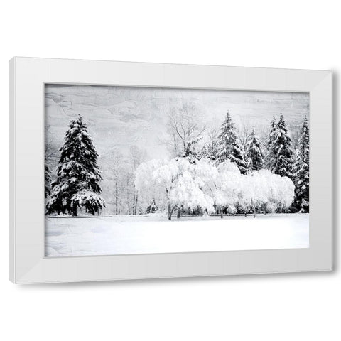 Winter Snow White Modern Wood Framed Art Print by Allen, Kimberly