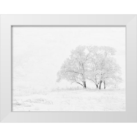 Winter White White Modern Wood Framed Art Print by Allen, Kimberly