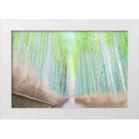 Down the Path White Modern Wood Framed Art Print by Allen, Kimberly
