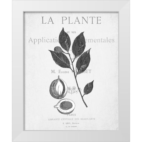 Defused Botanical 3 White Modern Wood Framed Art Print by Kimberly, Allen