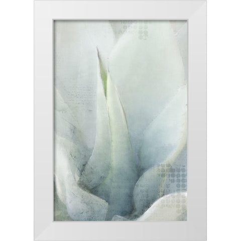 Agave 1 White Modern Wood Framed Art Print by Kimberly, Allen
