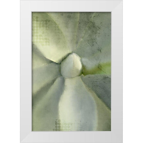 Agave 2 White Modern Wood Framed Art Print by Kimberly, Allen