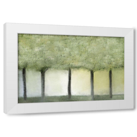 Grove of Trees White Modern Wood Framed Art Print by Kimberly, Allen