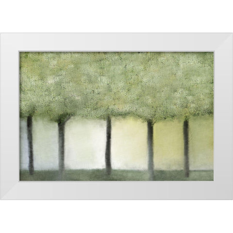 Grove of Trees White Modern Wood Framed Art Print by Kimberly, Allen
