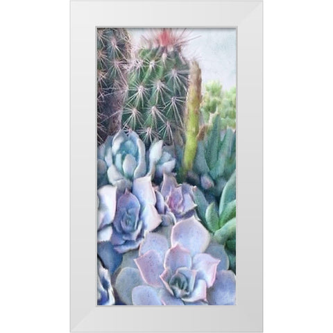 Succulent Garden 1 White Modern Wood Framed Art Print by Kimberly, Allen