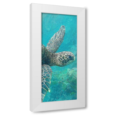 Sea Turtle 1 White Modern Wood Framed Art Print by Allen, Kimberly