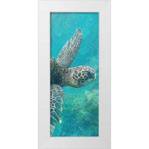 Sea Turtle 1 White Modern Wood Framed Art Print by Allen, Kimberly