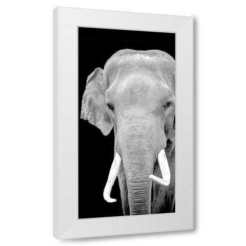 Strong 2 White Modern Wood Framed Art Print by Allen, Kimberly