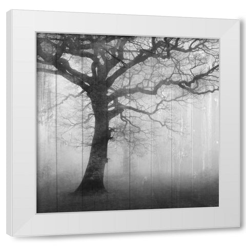In the Mist White Modern Wood Framed Art Print by Allen, Kimberly