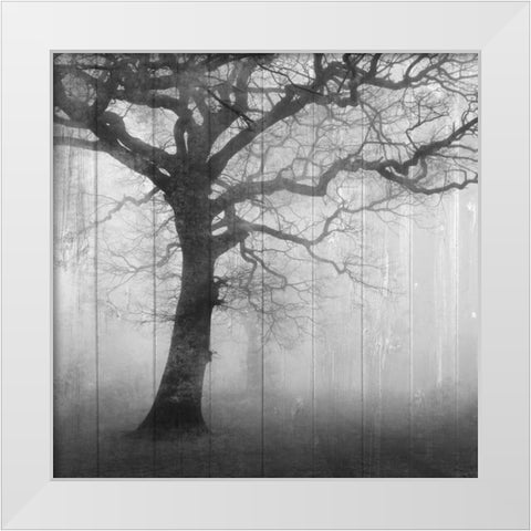 In the Mist White Modern Wood Framed Art Print by Allen, Kimberly