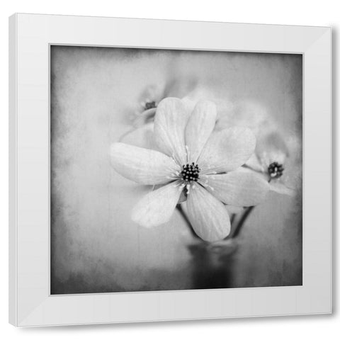 Blooms 1 White Modern Wood Framed Art Print by Allen, Kimberly