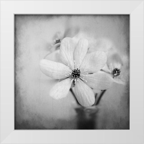 Blooms 1 White Modern Wood Framed Art Print by Allen, Kimberly