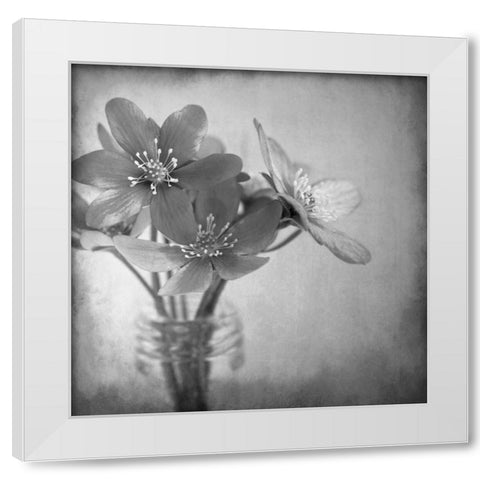 Blooms 2 White Modern Wood Framed Art Print by Allen, Kimberly
