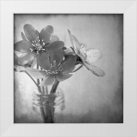 Blooms 2 White Modern Wood Framed Art Print by Allen, Kimberly