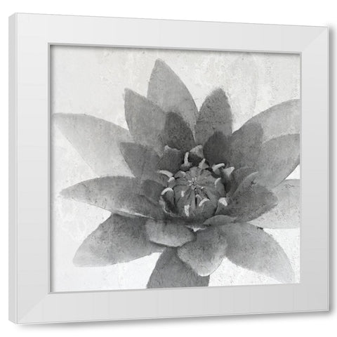 Lotus 1 White Modern Wood Framed Art Print by Kimberly, Allen