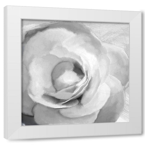 Up Close 1 White Modern Wood Framed Art Print by Kimberly, Allen