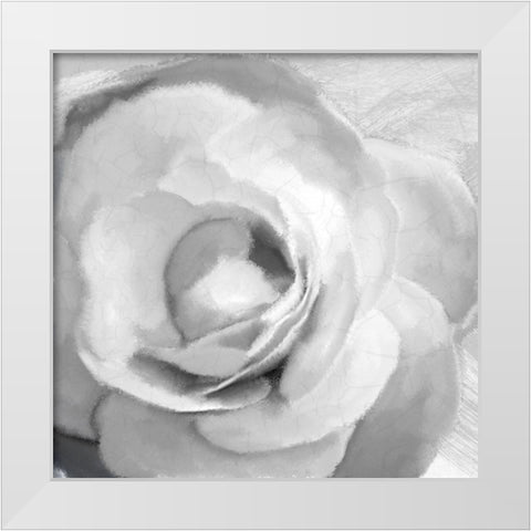 Up Close 1 White Modern Wood Framed Art Print by Kimberly, Allen