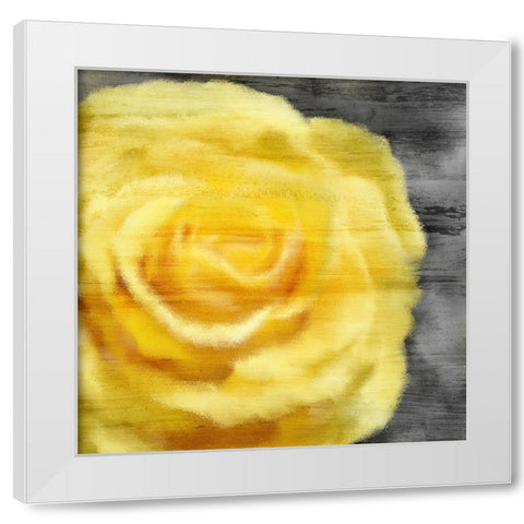 Yellow Rose White Modern Wood Framed Art Print by Kimberly, Allen
