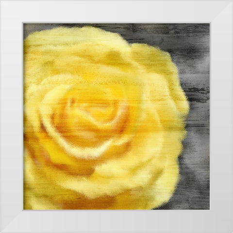 Yellow Rose White Modern Wood Framed Art Print by Kimberly, Allen