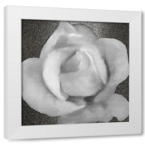 Grey Rose 1 White Modern Wood Framed Art Print by Kimberly, Allen