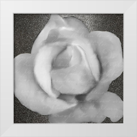 Grey Rose 1 White Modern Wood Framed Art Print by Kimberly, Allen
