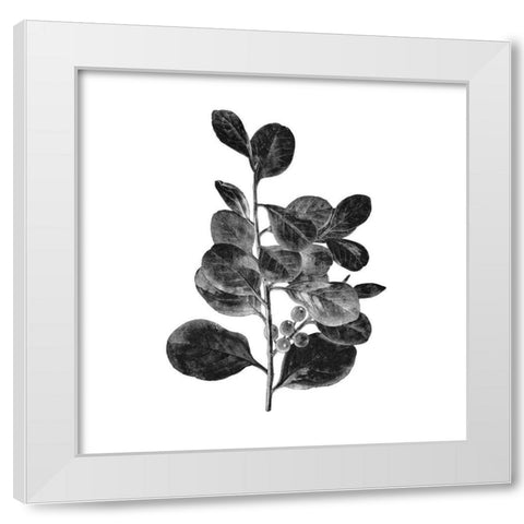 Botanical Black 1 White Modern Wood Framed Art Print by Kimberly, Allen