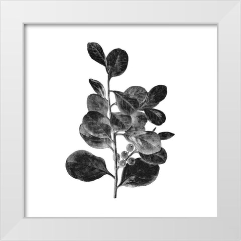 Botanical Black 1 White Modern Wood Framed Art Print by Kimberly, Allen
