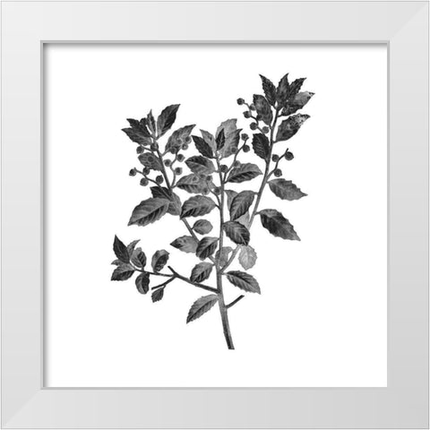 Botanical Black 2 White Modern Wood Framed Art Print by Kimberly, Allen