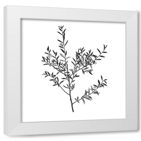Botanical Black 3 White Modern Wood Framed Art Print by Kimberly, Allen