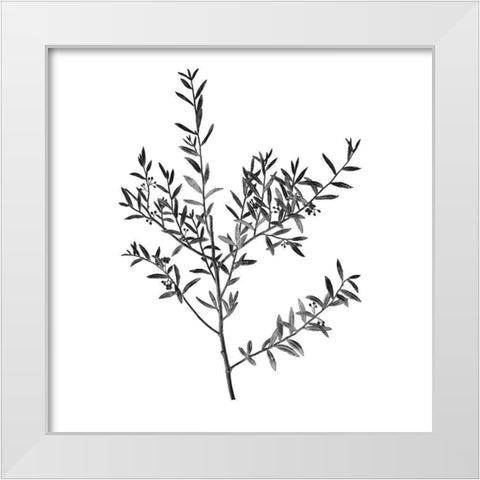 Botanical Black 3 White Modern Wood Framed Art Print by Kimberly, Allen