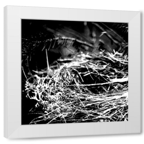 White Nest 1 White Modern Wood Framed Art Print by Kimberly, Allen