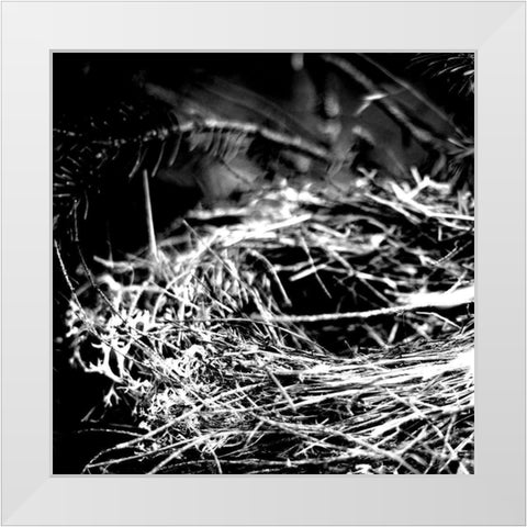 White Nest 1 White Modern Wood Framed Art Print by Kimberly, Allen