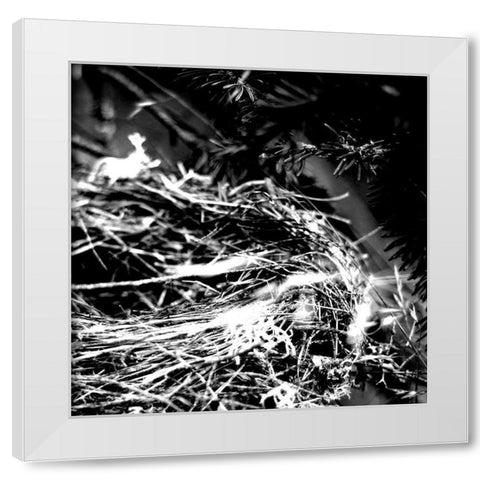 White Nest 2 White Modern Wood Framed Art Print by Kimberly, Allen