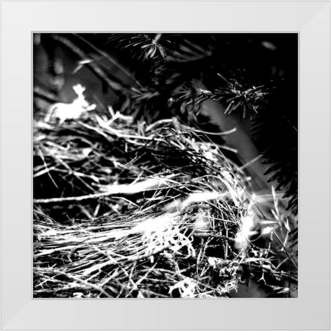 White Nest 2 White Modern Wood Framed Art Print by Kimberly, Allen