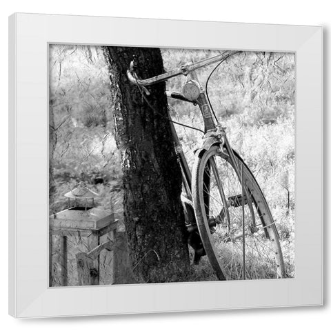 Out for a Ride White Modern Wood Framed Art Print by Kimberly, Allen