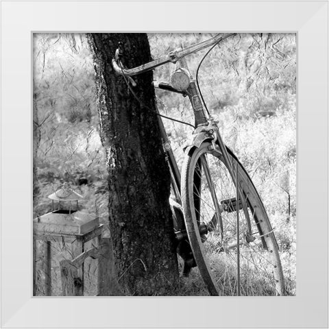 Out for a Ride White Modern Wood Framed Art Print by Kimberly, Allen