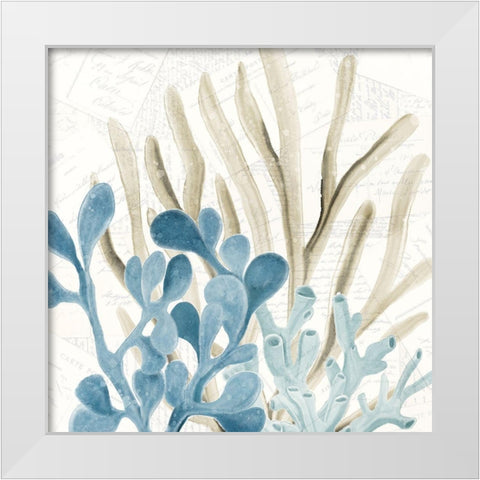 Coral Square 3 White Modern Wood Framed Art Print by Kimberly, Allen