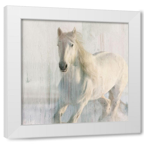 Snow White White Modern Wood Framed Art Print by Kimberly, Allen