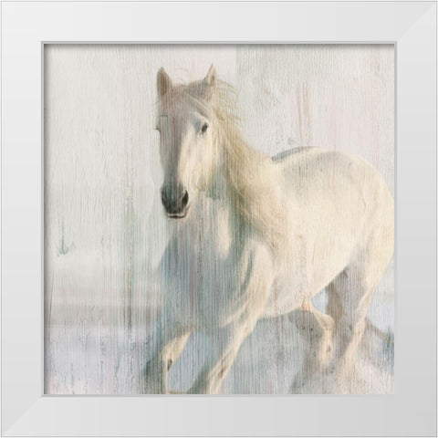 Snow White White Modern Wood Framed Art Print by Kimberly, Allen