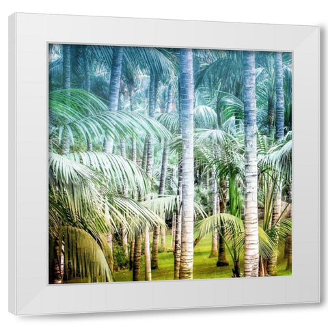 Palm Tree Forest 1 White Modern Wood Framed Art Print by Kimberly, Allen