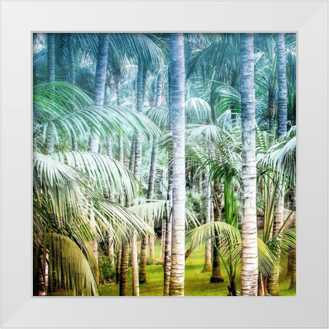Palm Tree Forest 1 White Modern Wood Framed Art Print by Kimberly, Allen