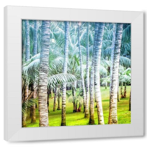 Palm Tree Forest 2 White Modern Wood Framed Art Print by Kimberly, Allen
