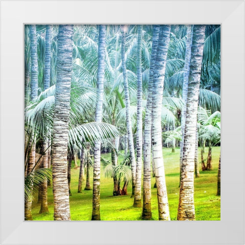 Palm Tree Forest 2 White Modern Wood Framed Art Print by Kimberly, Allen