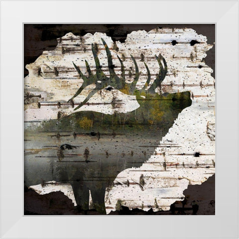 Birch Forest 1 White Modern Wood Framed Art Print by Allen, Kimberly