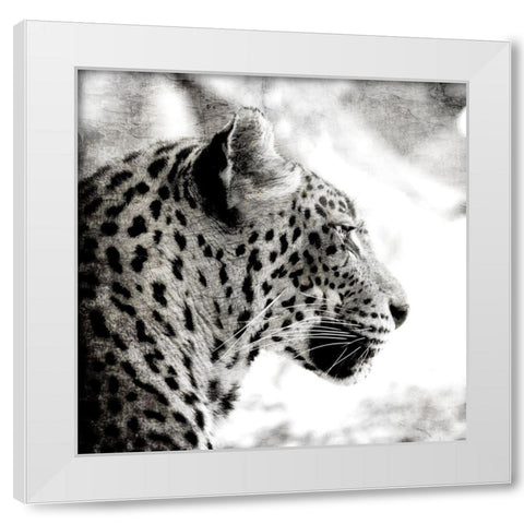 Leopard Gaze White Modern Wood Framed Art Print by Allen, Kimberly