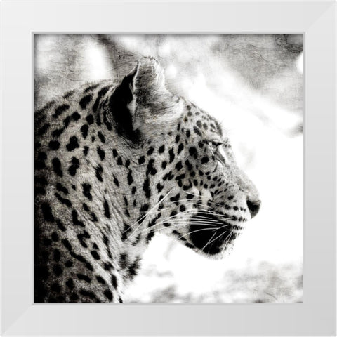 Leopard Gaze White Modern Wood Framed Art Print by Allen, Kimberly